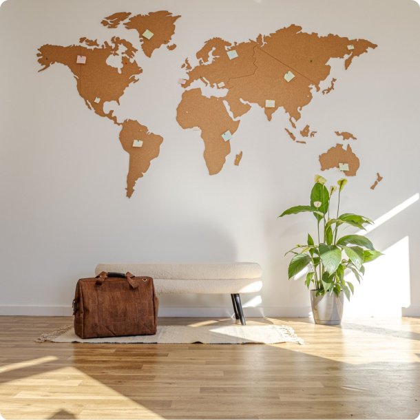 Carte du monde en lige 164x300cm