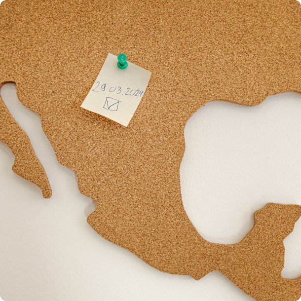 Carte du monde en lige 164x300cm