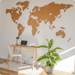 Carte du monde en lige 164x300cm