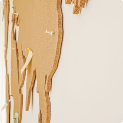 Carte du monde en lige 164x300cm