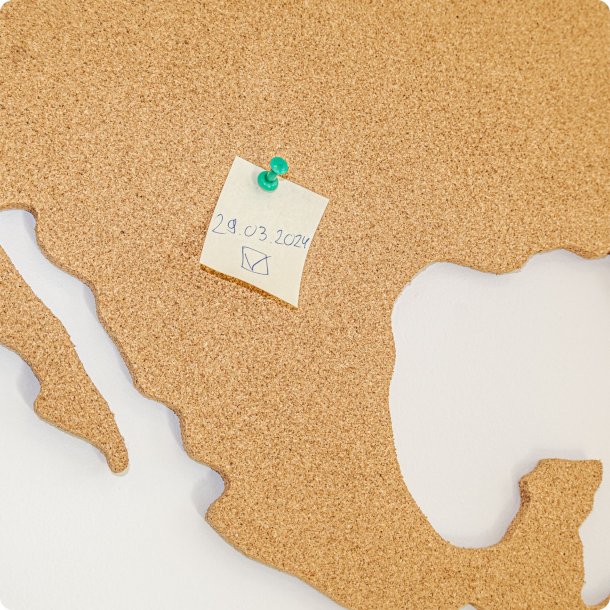 Carte du monde en lige 164x300cm