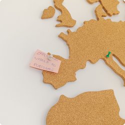 Carte du monde en lige 164x300cm