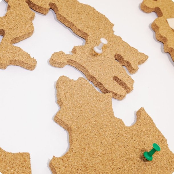 Carte du monde en lige 107x200cm