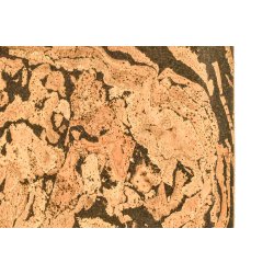 Decorative cork wall tiles AQUARIOS 3x300x600mm - package 1,98 m2