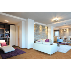 Kurklaminaat ORIGINALS HARMONY 1225x195x7mm AMORIM WISE Cork Inspire 700 Wicanders - 1,911 m&sup2;