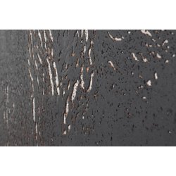 Dekorativer Wandkork EUROPA 3x300x600mm - Paket 1,98 m2