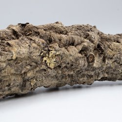 Groe natrliche Korkzweige (XL  3 kg)