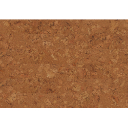 Kurklaminaat ORIGINALS SHELL 1225x195x7mm AMORIM WISE Cork Inspire 700 Wicanders - 1,911 m&sup2;