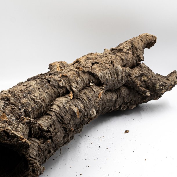 Medium natuurlijke, maagdelijke kurkbuis (M - 1 kg)