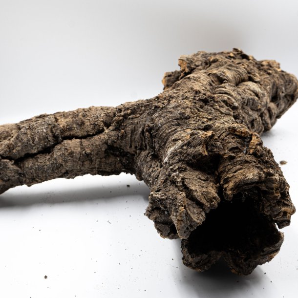 Medium natuurlijke maagdelijke kurktakken (M - 1 kg)