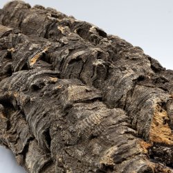 Medium natuurlijke, maagdelijke kurk platte stukken (M - 1 kg)