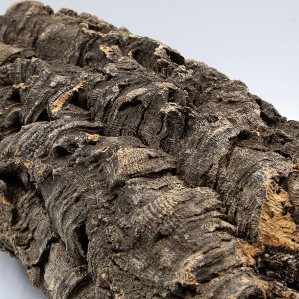 Kleine flache Stcke aus natrlichem Kork (S - 0,5 kg)