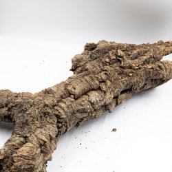 Groe natrliche Korkzweige (L  2 kg)