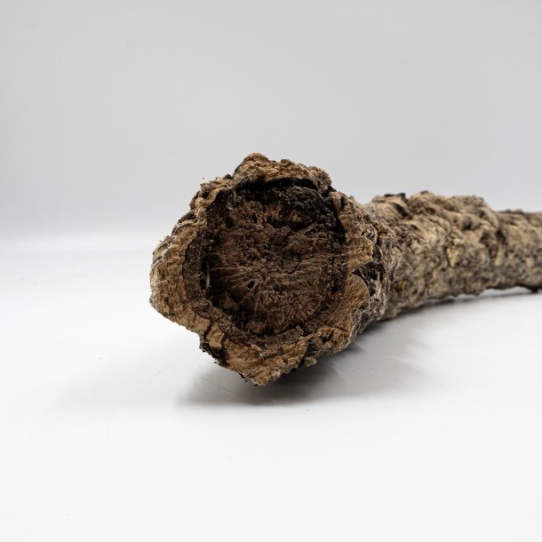 Medium natuurlijke maagdelijke kurktakken (M - 1 kg)