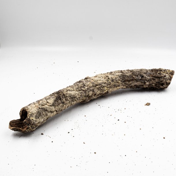 Kleine natrliche Korkzweige (S - 0,5 kg)