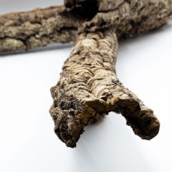 Medium natuurlijke maagdelijke kurktakken (M - 1 kg)