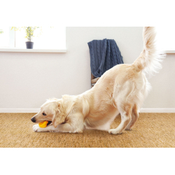 Kurklaminaat ORIGINALS CHARACTER 10,5x295x905mm WICANDERS Cork Essence (XtraMatt+) Wicanders - 2,136 m