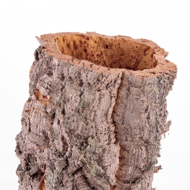 Medium natuurlijke, maagdelijke kurkbuis (M - 1 kg)