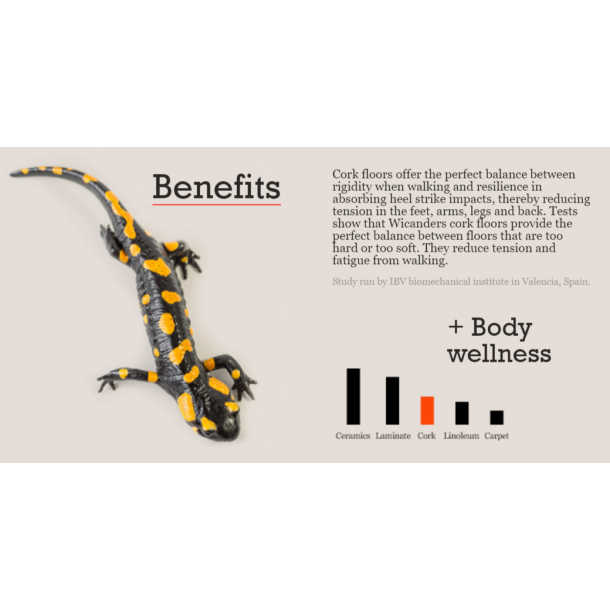 Kurk vloer PORTO kurktegels 4x300x300mm (gekeramisk lakerd) - prijs voor 0,81m