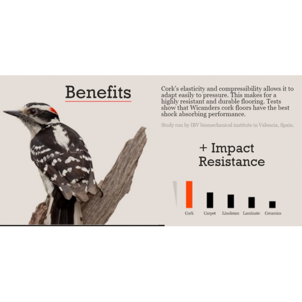 Kurk vloer PORTO kurktegels 4x300x300mm (gekeramisk lakerd) - prijs voor 0,81m