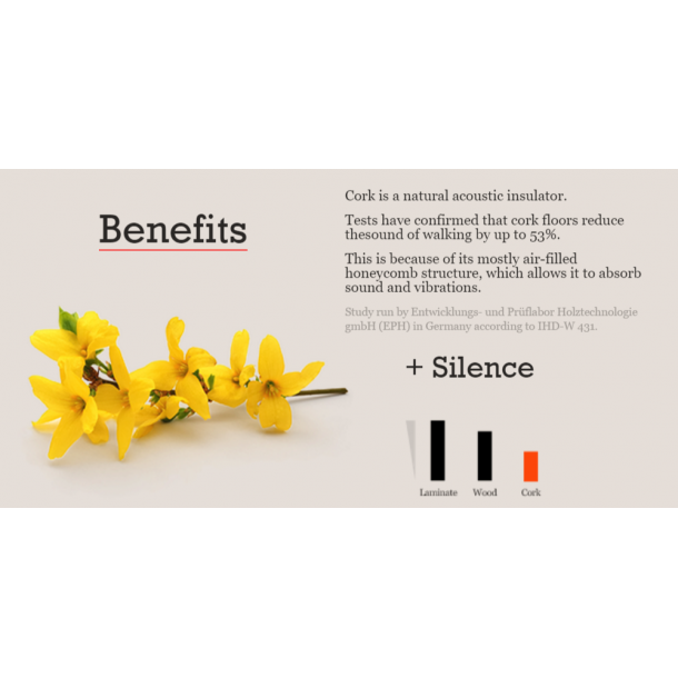 Suelo de corcho AVEIRO 4x300x300mm (sin acabado) - precio por 0,81m