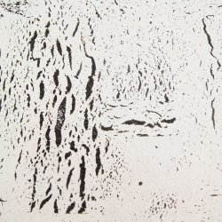 Decoratieve kurk wandbekleding EUROPA PB 3x300x600mm - verpakking 1,98 m2