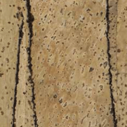 Corkoleum FIG 3mm x 1,4m x 5,5m - korkparkett rull  - hind 7,7m eest (rull)