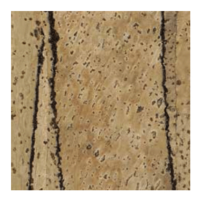 Corkoleum FIG 3mm x 1,4m x 5,5m - natural cork flooring roll - Price per 7,7m (roll)