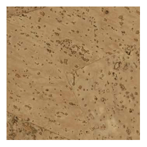 Corkoleum MANGO 3mm x 1,4m x 5,5m - natural cork flooring roll - Price per 7,7m (roll)