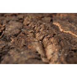 Sample set of decorative wall cork bark VIRGIN &amp; CAMELEON - 2 pcs.