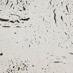 Decoratieve kurk wandbekleding EUROPA PB 3x300x600mm - verpakking 1,98 m2