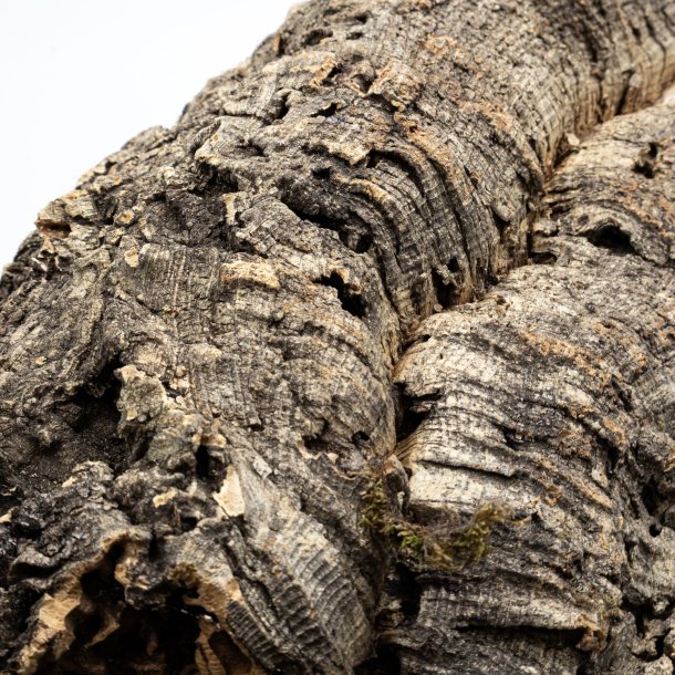 Medium natuurlijke, maagdelijke kurk platte stukken (M - 1 kg)