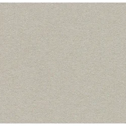 Forbo Bulletin Board 6mm x 122cm x 27m korkplaadi rulllinoleum 2206 Oyster Shell