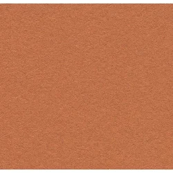 Forbo Bulletin Board 6mm x 122cm x 27m korkplaadi rulllinoleum 2207 Cinnamon Bark