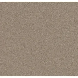 Forbo Bulletin Board 6mm x 122cm x 27m korkplaadi rulllinoleum 2208 Mushroom Medley