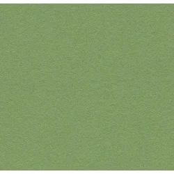 Forbo Bulletin Board 6mm x 122cm x 27m korkplaadi rulllinoleum 2213 Baby Lettuce