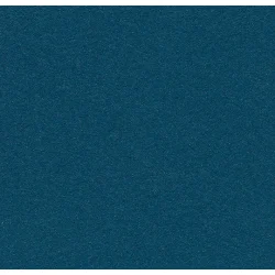 Forbo Bulletin Board 6mm x 122cm x 27m korkplaadi rulllinoleum 2214 Blue Berry
