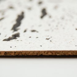 Decoratieve kurk wandbekleding EUROPA PB 3x300x600mm - verpakking 1,98 m2