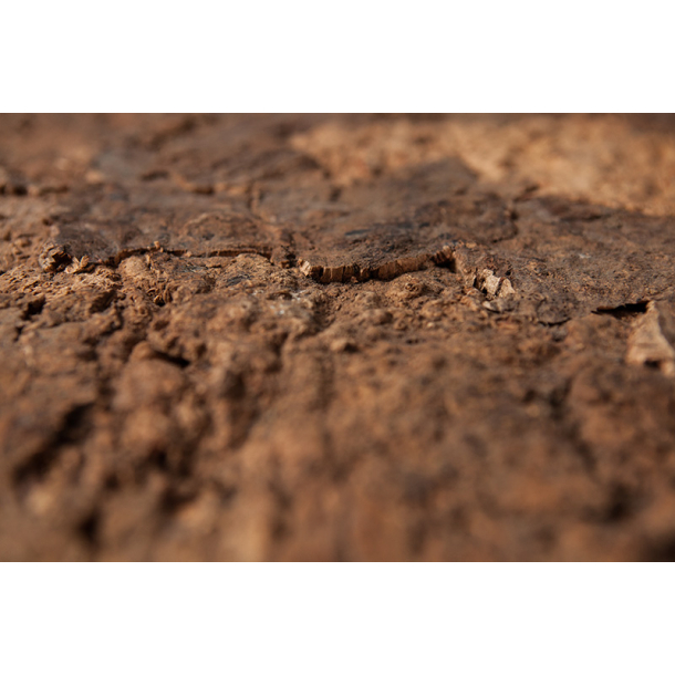 Sample set of decorative wall cork bark VIRGIN &amp; CAMELEON - 2 pcs.