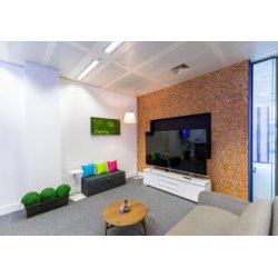 Dekoratīvā korķa sienas segums HAWAI WHITE 3x300x600mm - iepakojums 1,98 m2