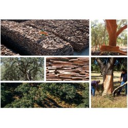 Plaque de lige mural dcoratif  BUREL FOREST 3x300x600mm - colis 1,98 m2 - BESTSELLER!