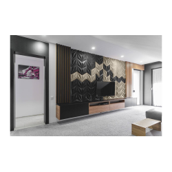 Kor&#311;is sien&#257;m BALTS 3D LINE