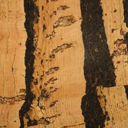 Rivestimenti decorativi in sughero da parete TIGRE 3x300x600mm - pacco 1,98 m2